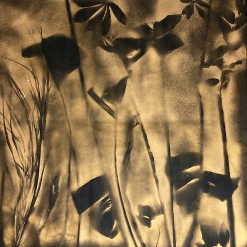 Bombe dorée sur toile noire, 120 x 120 cm